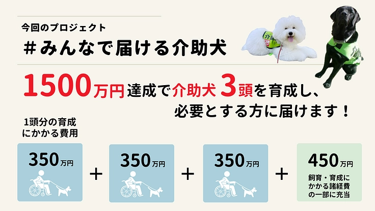 みんなで届ける介助犬｜今年は目標＋3頭！介助犬の減少に歯止めを（社